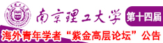 爱爱抽插视频南京理工大学第十四届海外青年学者紫金论坛诚邀海内外英才！